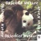 Voices of the Forest - Nature Sounds - Sons de la nature lyrics