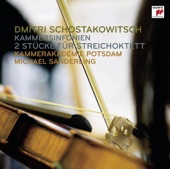 Chamber Symphony, Op. 73a (After String Quartet No. 3, Op. 73): V. Moderato artwork