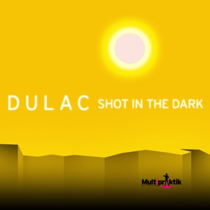 Shot In the Dark