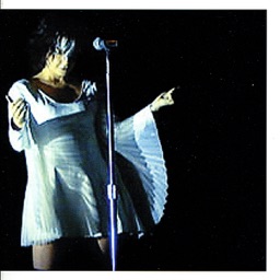 Homogenic Live by Bjork
