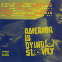 America Is Dying Slowly - Various Artists Cover Art