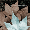 The Foreign Exchange - This City Ain't the Same Without You (feat. YahZarah) artwork