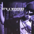 It's A Mystery