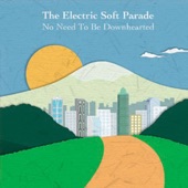 The Electric Soft Parade - Appropriate Ending