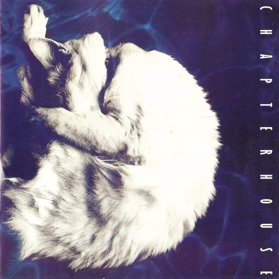 Chapterhouse - Something More