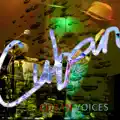 Descarga Cubana