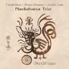 Nadishana Trio - Vita Brevis Ars Longa