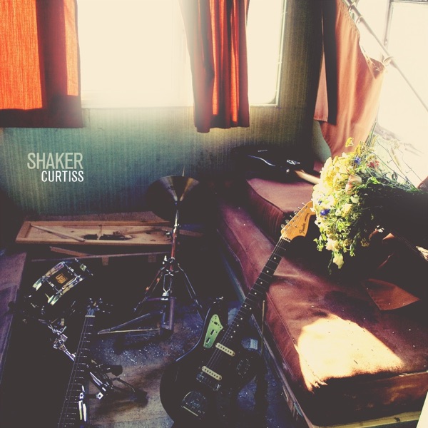 Shaker - Single artwork