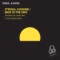 Eternal Sunshine (Sam Young Remix) - Mark Junior lyrics