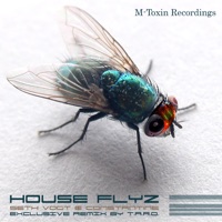 Houseflyz - Single - Seth Vogt & Constantine