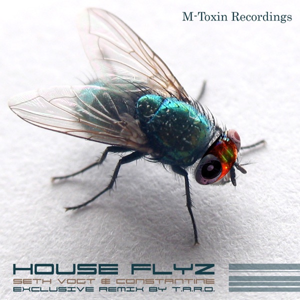 Houseflyz - Single