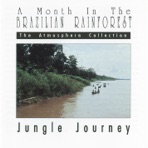 A Month In the Brazilian Rainforest (Jungle Journey)