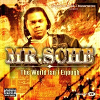 The World Isn't Enough - Mr. Sche