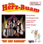 Juche, auf der hohen Alm (Lied)