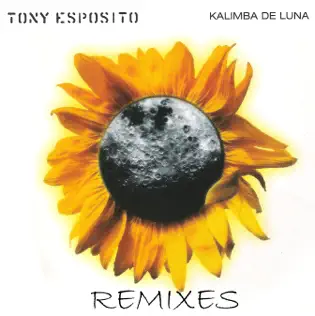 last ned album Tony Esposito - Kalimba De Luna Remixes
