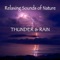Gentle Rain with Thunder - John Grout lyrics