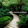 Solanos - Love at Sunset