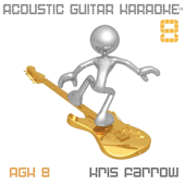 Acoustic Guitar Karaoke, Vol. 8