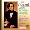 Philippe Muller Quintette pour piano et cordes en la majeur, Op. 114, D. 667 La truite: Andante Franz Schubert : Quintette, Op. 114 La truite - Trio Op. 99