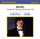 Richard Stoltzman, Eddie Gomez, Jeremy Wall, Romero Lubambo & Cyro Baptista - Sonata for Clarinet and Piano in F Minor, Op. 120, No. 1: Allegretto grazioso