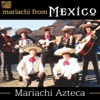 Mariachi from Mexico, 2009