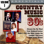 Baby's Got Her Blue Jeans On song art