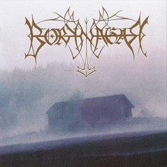 Borknagar