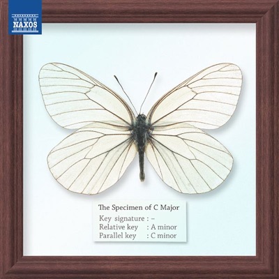 The Specimen of C Major