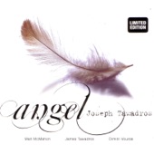 Angel Suite in D: Spinning Round artwork