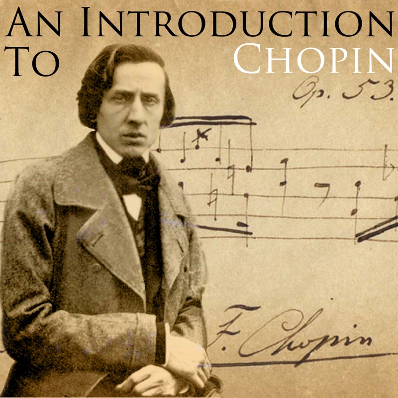 Sonata No. 2 In B Flat Minor, Op. 35: Marche Funebre/Finale