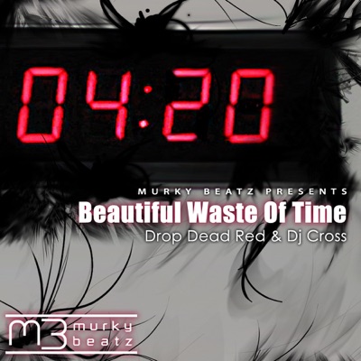Beautiful Waste of Time - Single