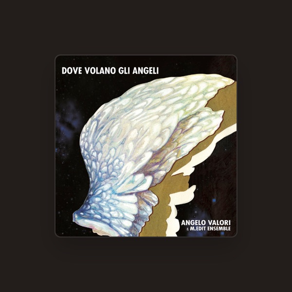 Angelo Valori's avatar
