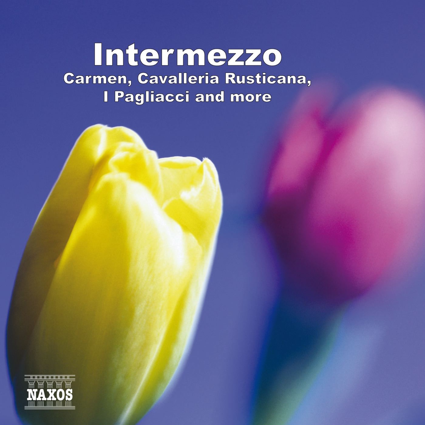 Intermezzo: Carmen, Cavalleria Rusticana, I Pagliacci and More