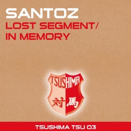 Lost Segment (Original Mix) Santoz