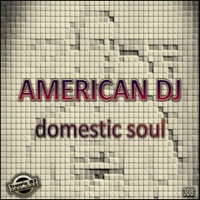 Domestic Soul - EP - American DJ