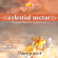 Celestial Nectar Vol.4 - The Art Of Living - Arun Madhavan
