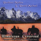 Walk of the Elephants