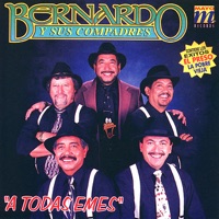 Bernardo y Sus Compadres - La Saporrita