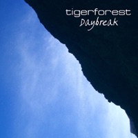 Tigerforest - Pacific Coast Highway