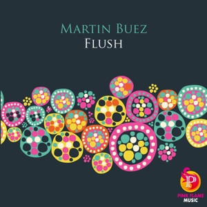 Flush (Dj Danjer Remix)