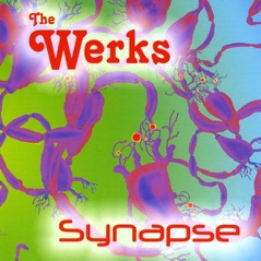 Synapse