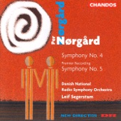 Danish National Radio Symphony Orchestra/Leif Segerstam - Symphony No. 5: I. Allegro —