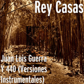 Cover art for Juan Luis Guerra y 440 (Versiones Instrumentales) by Rey Casas