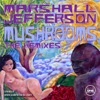 Mushrooms (The Remixes) - EP