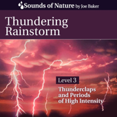 Thundering Rainstorm song art