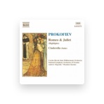 Slovak State Philharmonic Orchestra