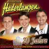 Zillertaler Haderlumpen - A Musi bleibt a Musi