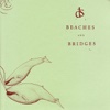 Beaches and Bridges