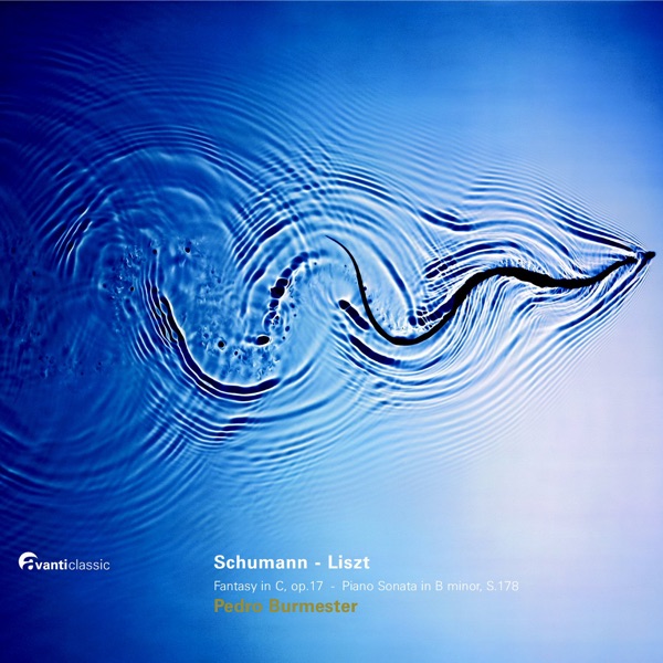 Schumann: Fantasie Op. 17 - Liszt : Sonata In B Minor, S 178