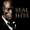 Seal - I Am Your Man